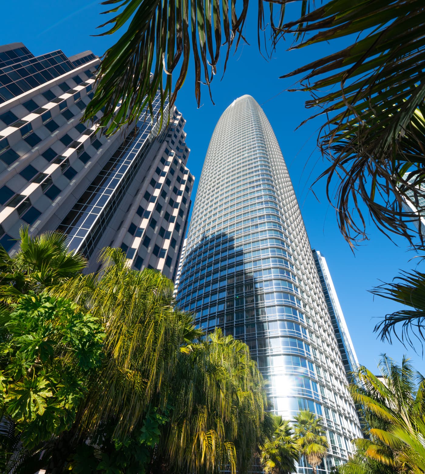 A view of Salesforce Tower from ground level